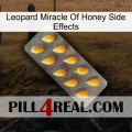 Leopard Miracle Of Honey Side Effects cialis1